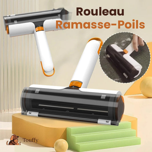 Rouleau Ramasse Poils 2-en-1 Réutilisable