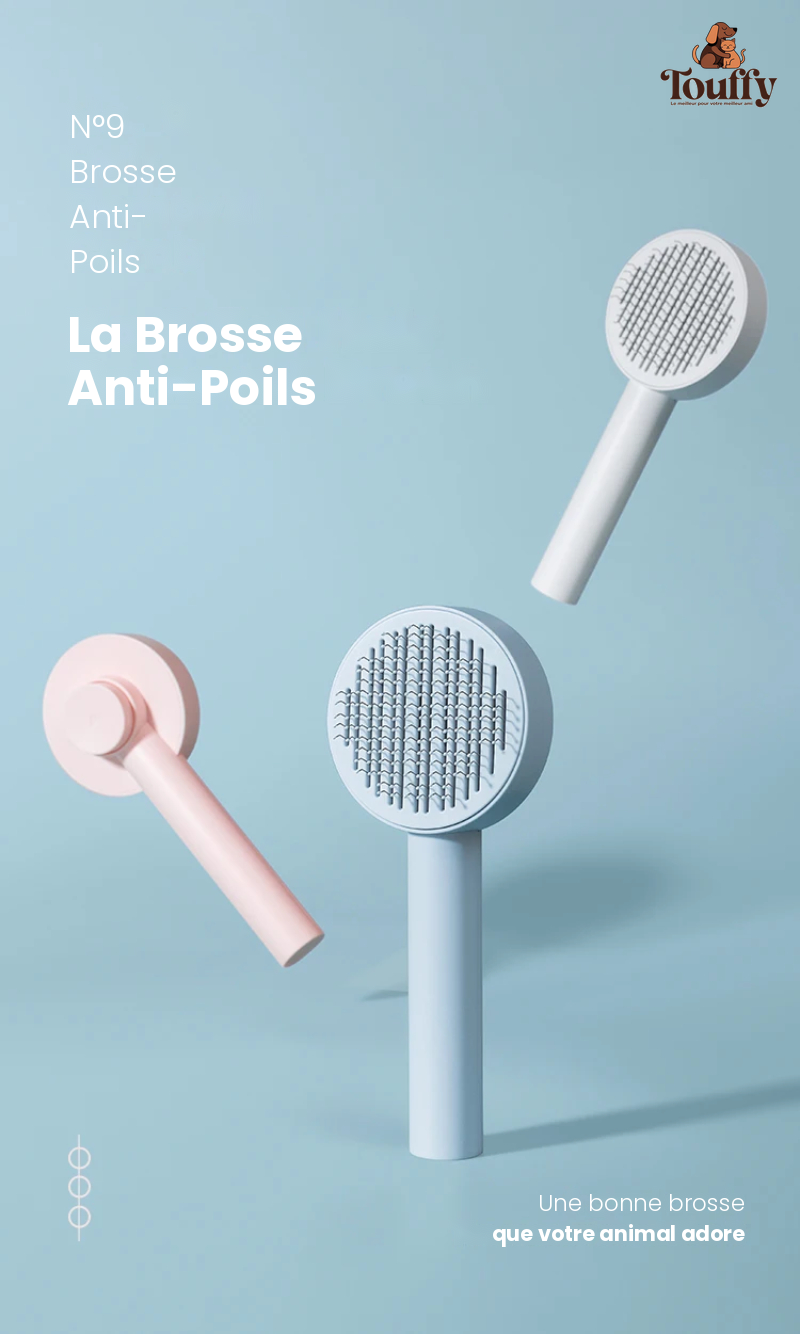 Brosse Auto-Nettoyante Touffy