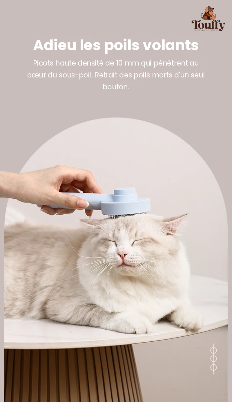Brosse Auto-Nettoyante Touffy