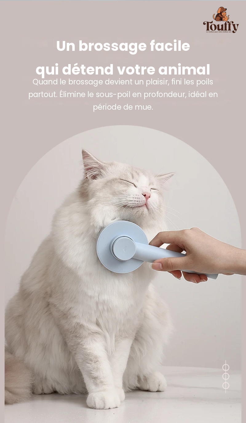 Brosse Auto-Nettoyante Touffy